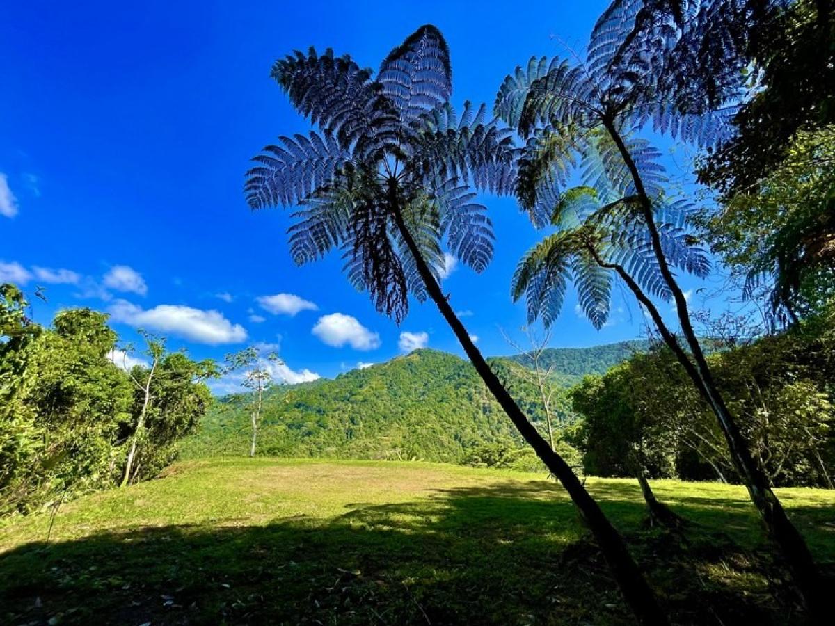 Picture of Residential Land For Sale in Osa, Puntarenas, Costa Rica