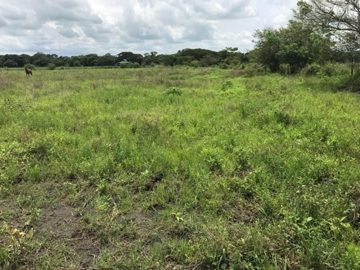 Picture of Residential Land For Sale in Liberia, Guanacaste, Costa Rica