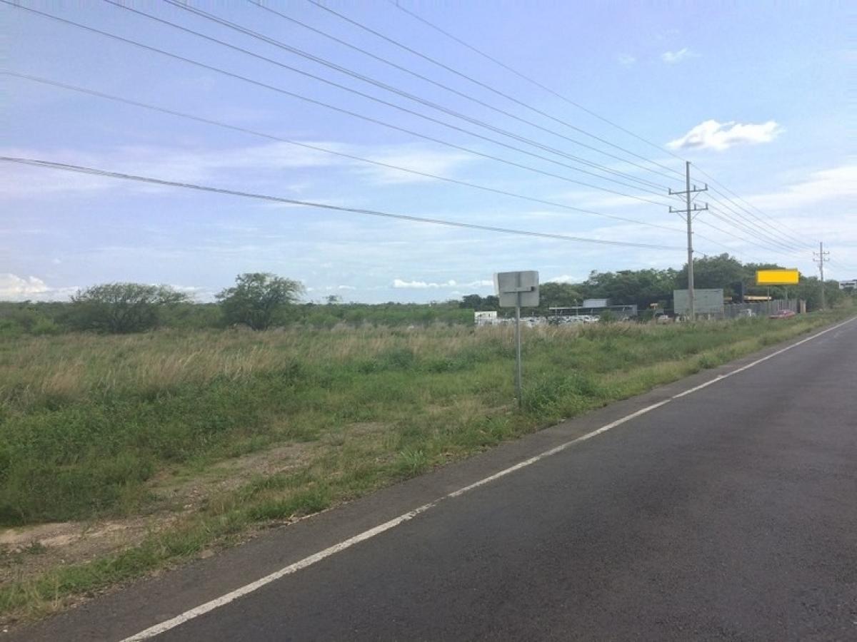 Picture of Residential Land For Sale in Liberia, Guanacaste, Costa Rica