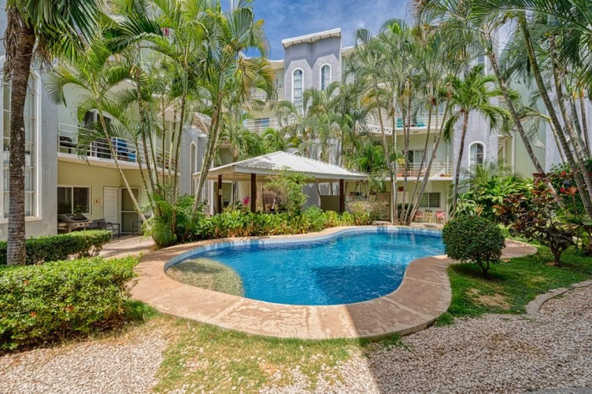 Picture of Condo For Sale in Santa Cruz, Guanacaste, Costa Rica