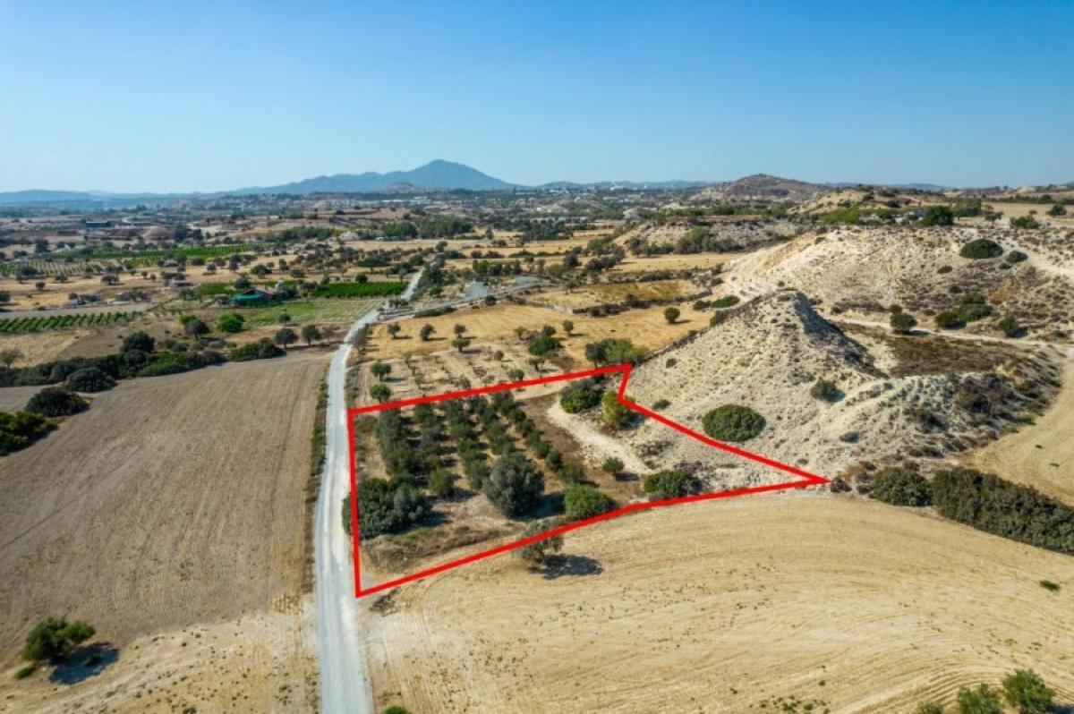 Picture of Residential Land For Sale in Mazotos, Other, Cyprus