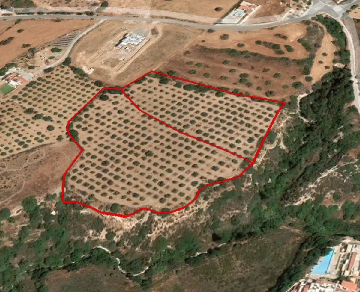 Picture of Residential Land For Sale in Tala, Paphos, Cyprus