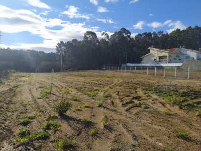 Residential Land For Sale in 