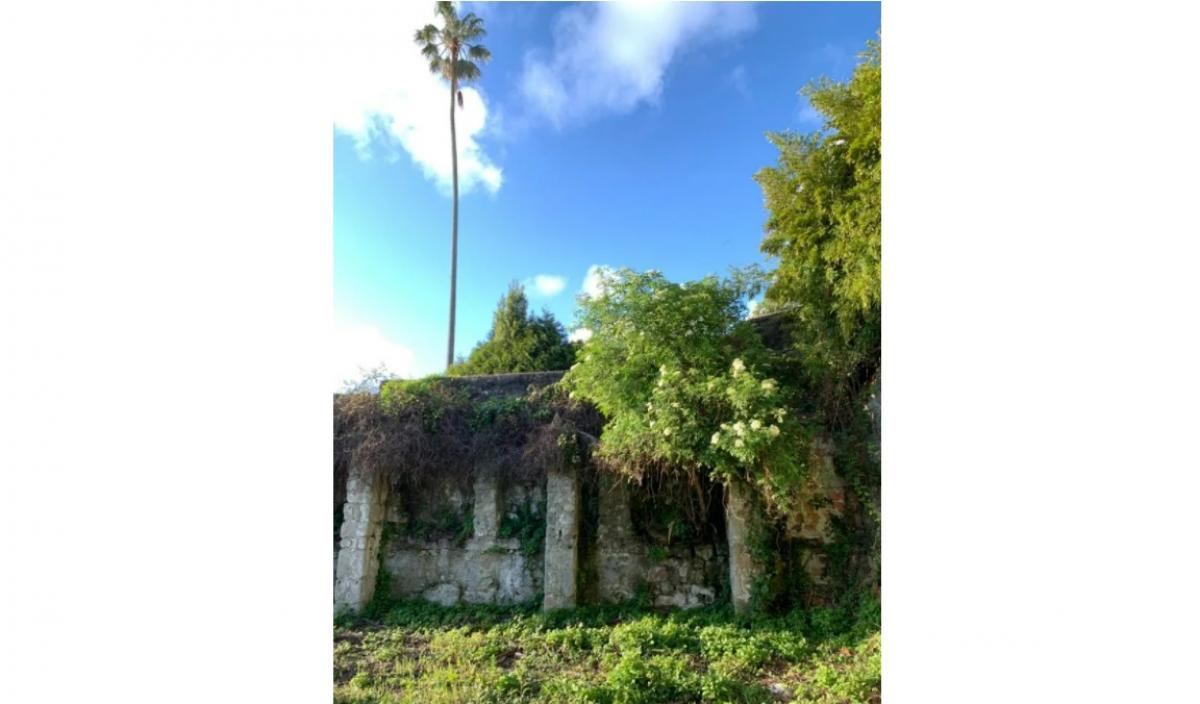 Picture of Residential Land For Sale in Porto, , Portugal