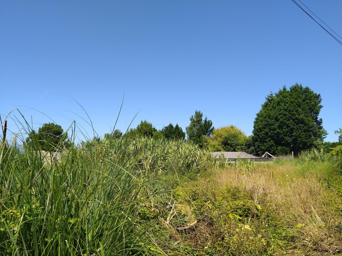 Picture of Residential Land For Sale in Vila Nova de Gaia, Porto District, Portugal