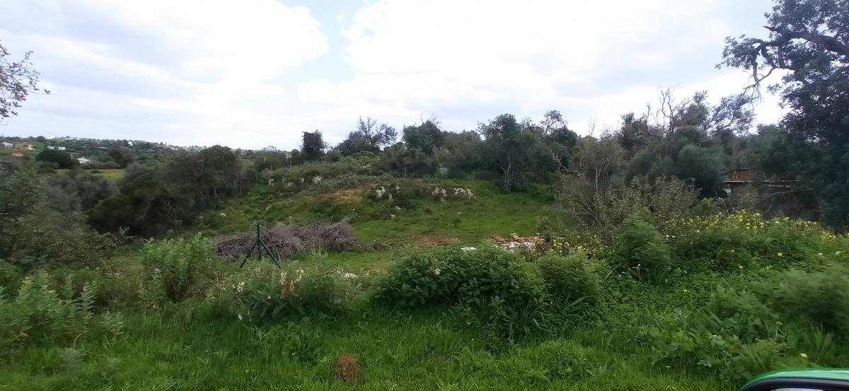 Picture of Home For Sale in Albufeira, Algarve, Portugal