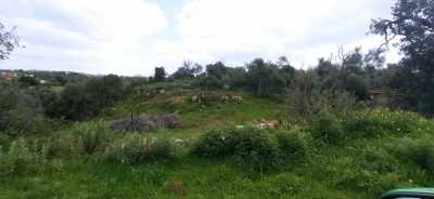 Home For Sale in Albufeira, Portugal