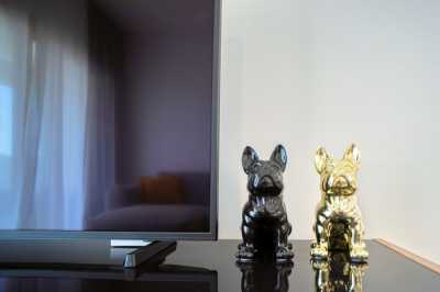 Condo For Rent in Tala, Cyprus