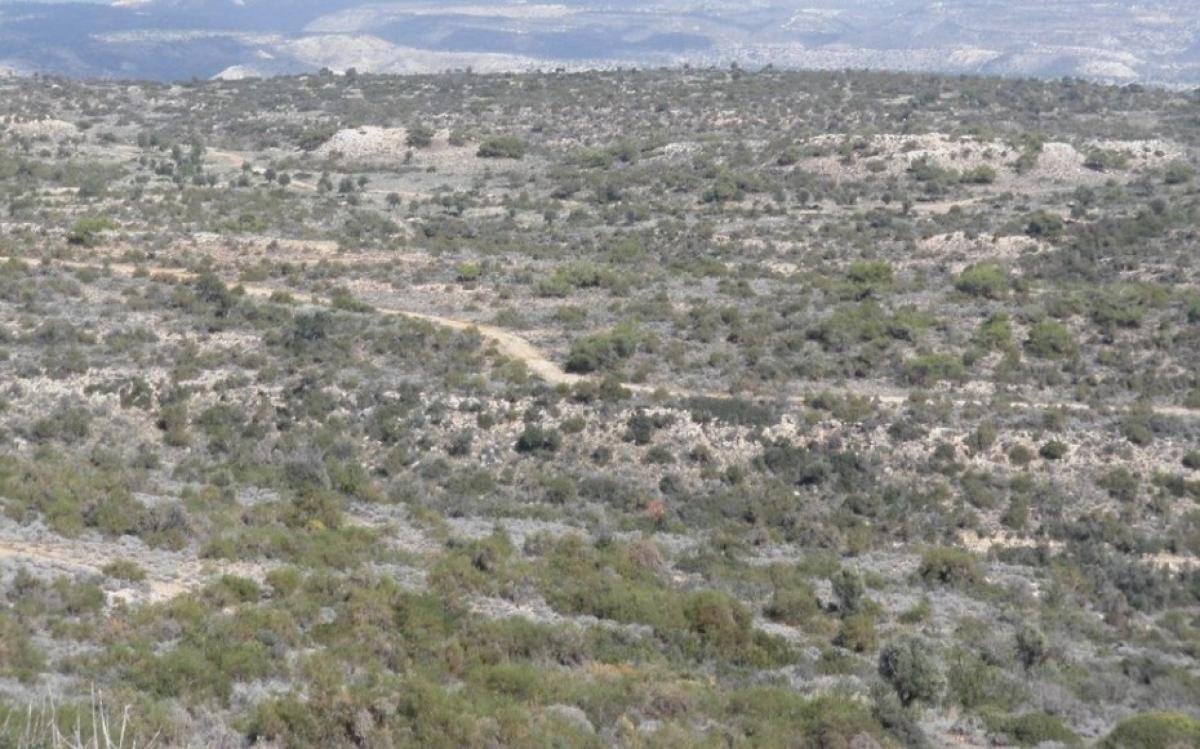 Picture of Residential Land For Sale in Pissouri, Limassol, Cyprus