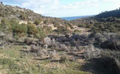 Residential Land For Sale in
