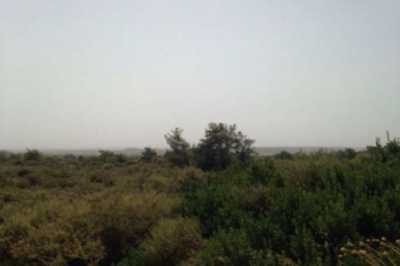 Residential Land For Sale in Kivides, Cyprus
