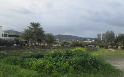 Residential Land For Sale in Agia Marina Chrysochous, Cyprus