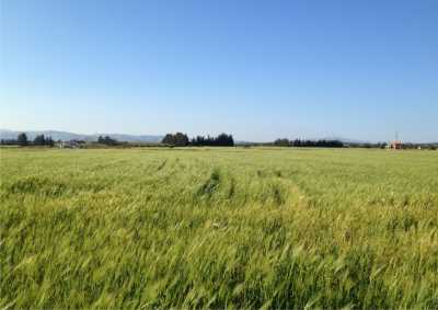 Residential Land For Sale in Kouklia, Cyprus