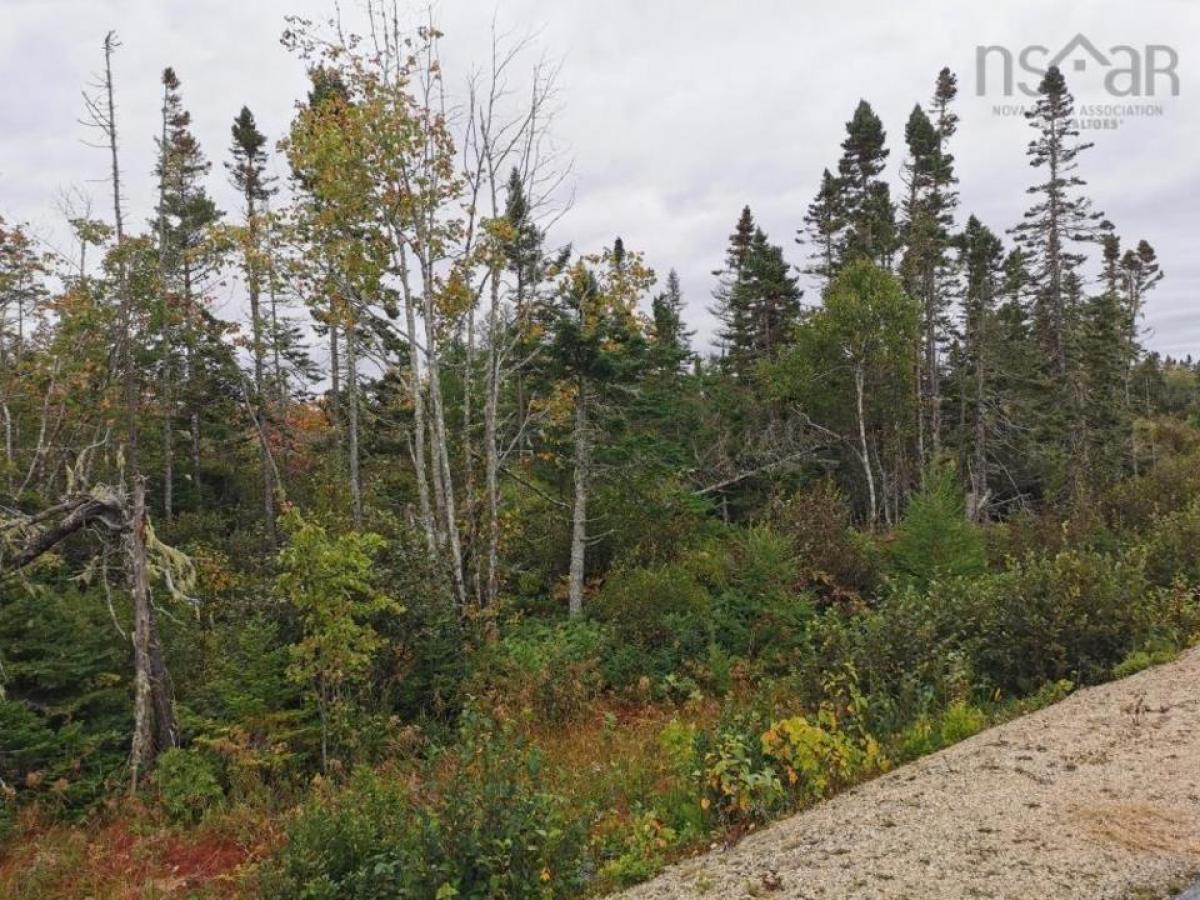 Picture of Residential Land For Sale in East River, Nova Scotia, Canada