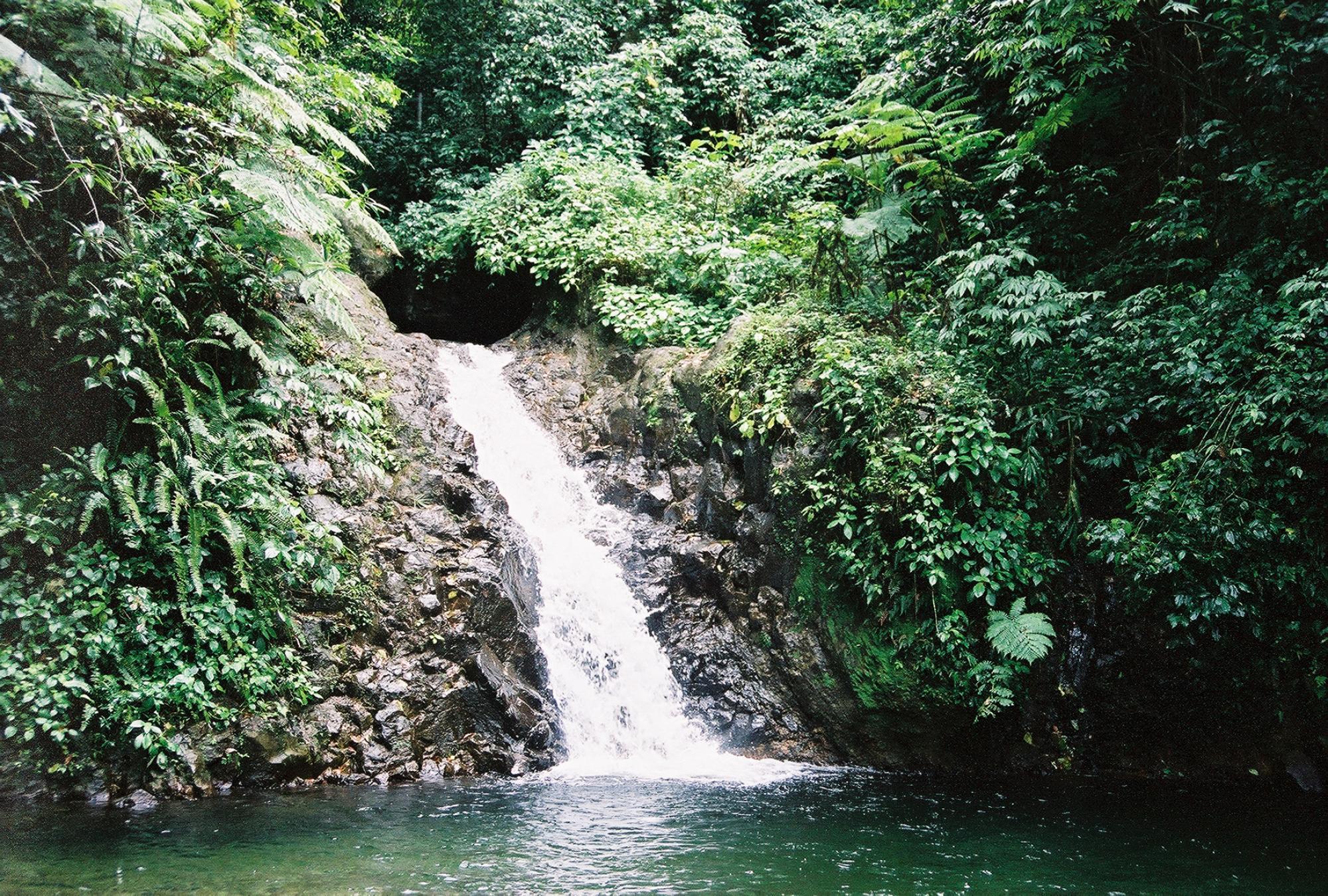 Canaries, AnselaRaye, AnselaRaye, Saint Lucia MixedUse Land For