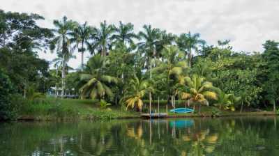 Bungalow For Sale in