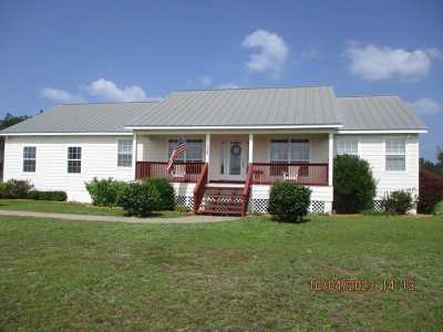 Home For Sale in Wewahitchka, Florida