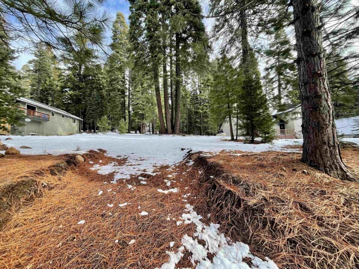 Picture of Home For Sale in Lake Almanor, California, United States