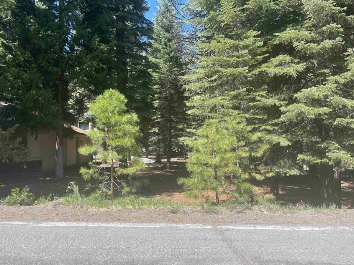 Picture of Home For Sale in Lake Almanor West, California, United States