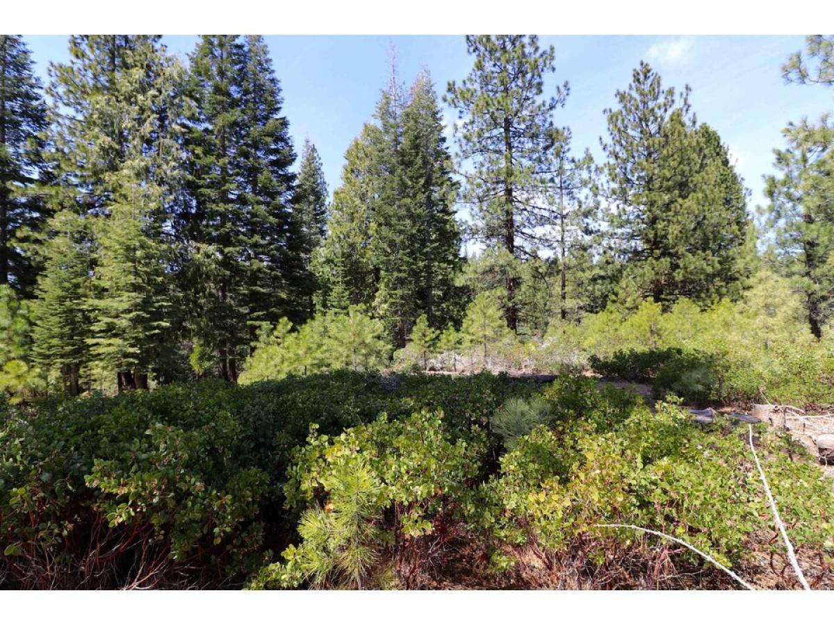 Picture of Home For Sale in Lake Almanor, California, United States
