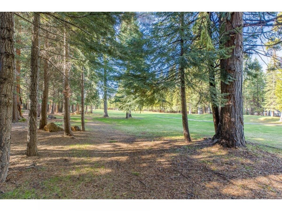 Picture of Home For Sale in Lake Almanor West, California, United States