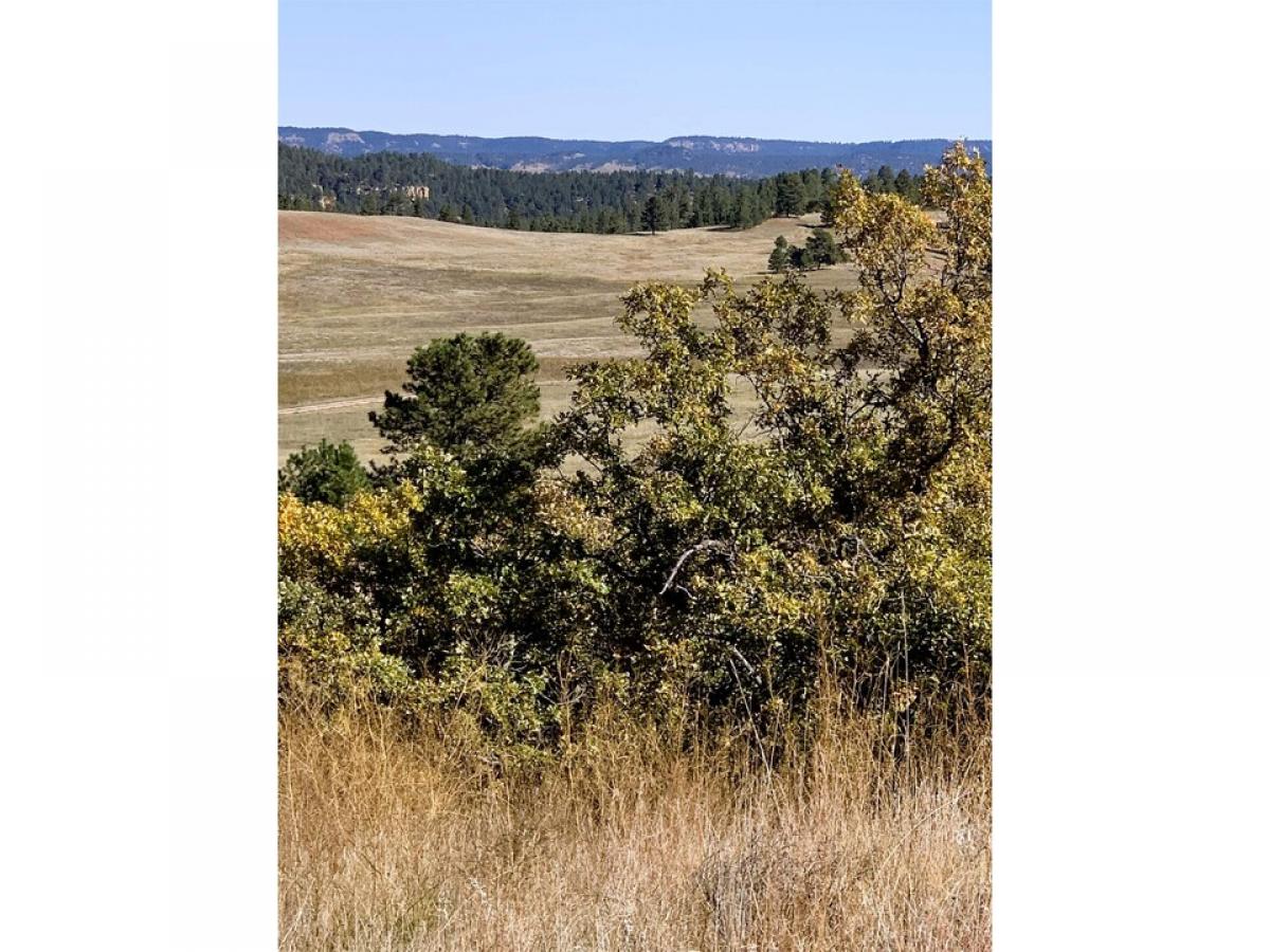 Picture of Home For Sale in Hulett, Wyoming, United States