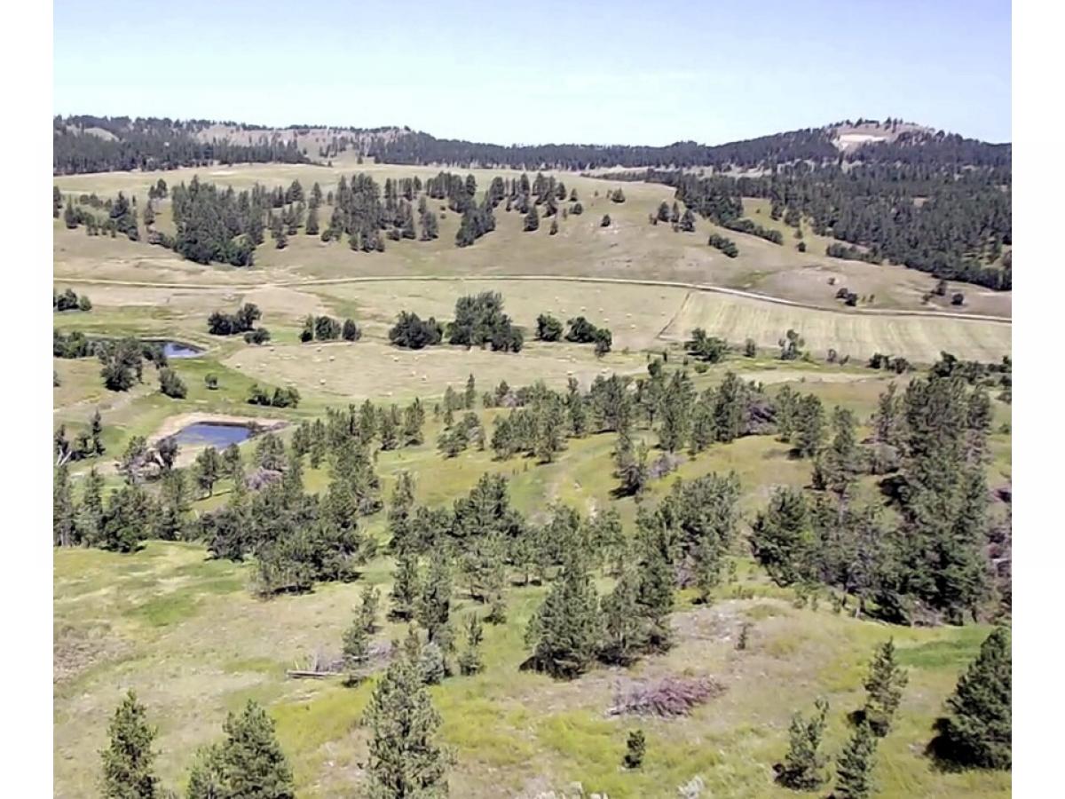 Picture of Home For Sale in Hulett, Wyoming, United States