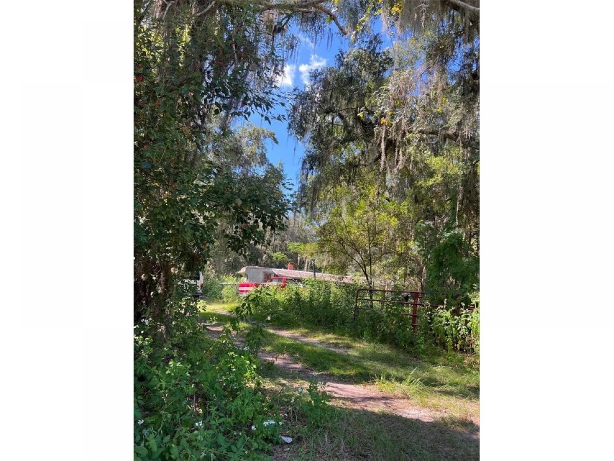 Picture of Home For Sale in Anthony, Florida, United States