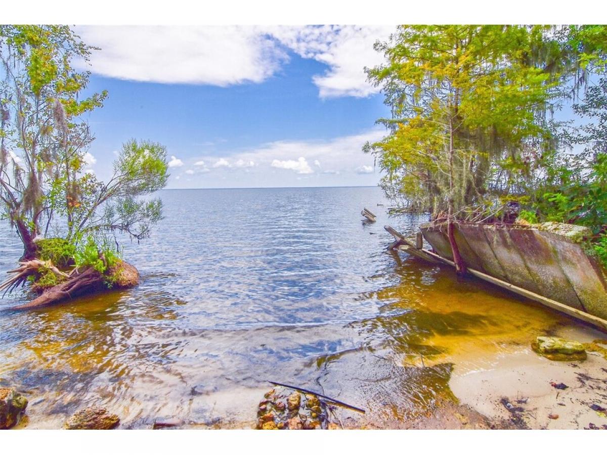 Picture of Home For Sale in Salt Springs, Florida, United States