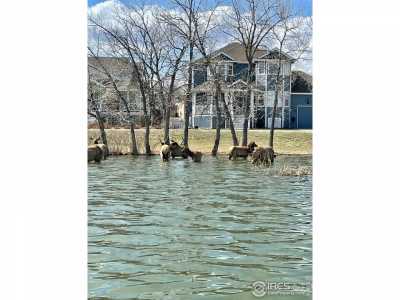 Home For Sale in Loveland, Colorado
