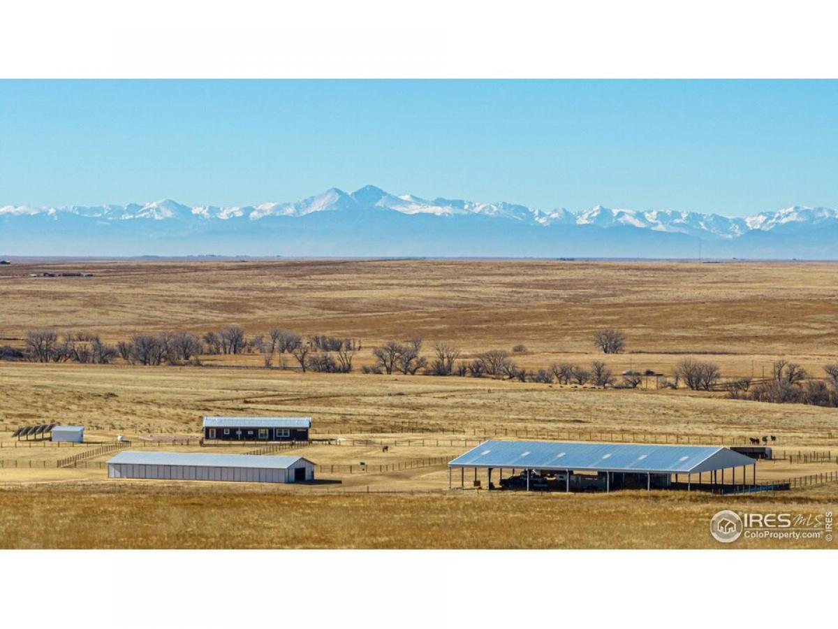 Picture of Home For Sale in Briggsdale, Colorado, United States