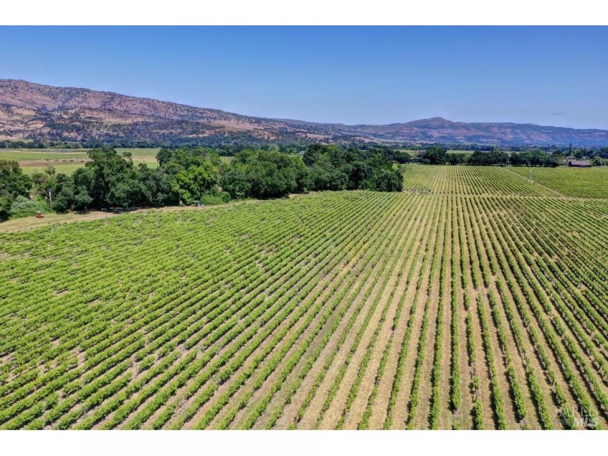 Picture of Home For Sale in Napa, California, United States