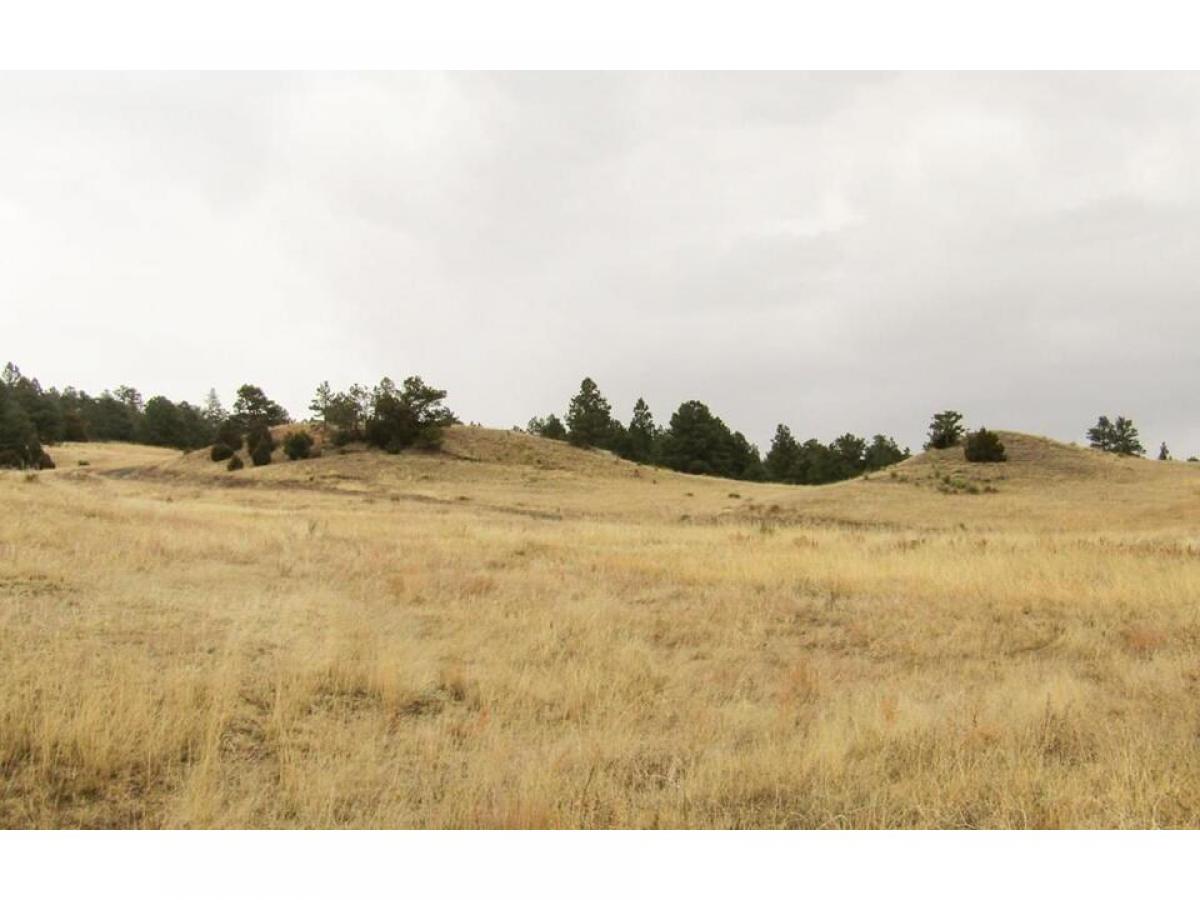 Picture of Residential Land For Sale in Fort Laramie, Wyoming, United States