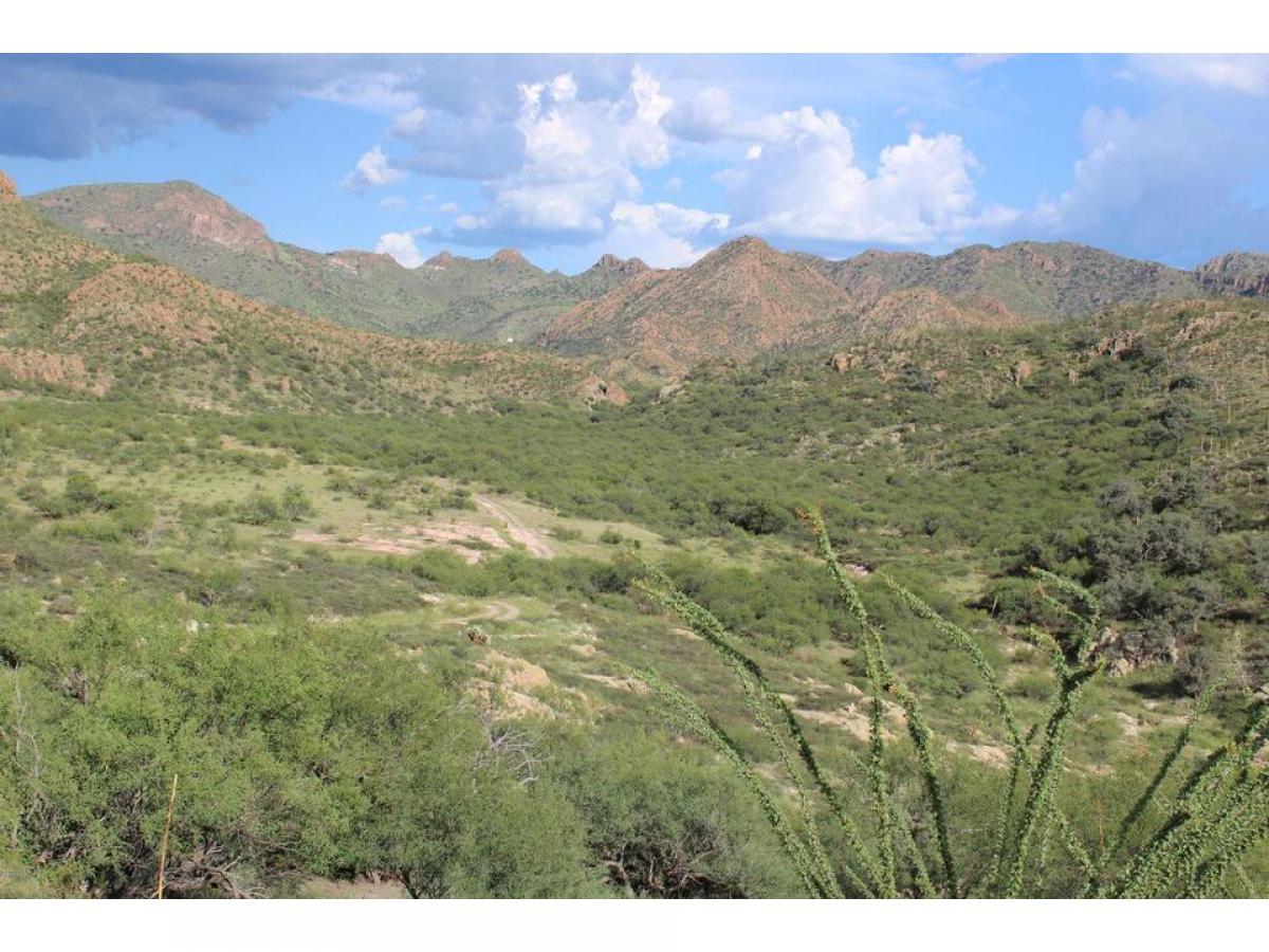 Picture of Residential Land For Sale in Tubac, Arizona, United States