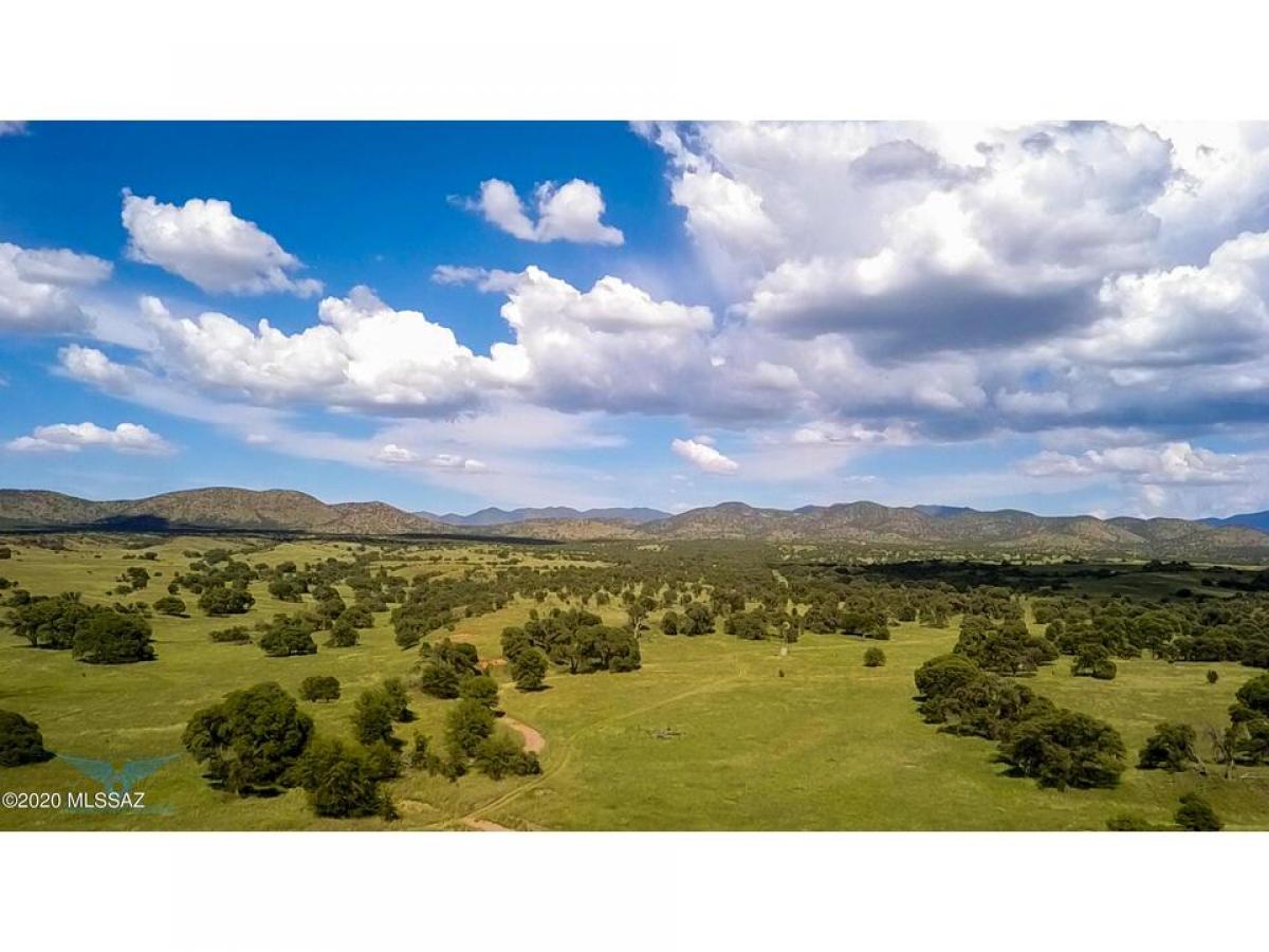 Picture of Residential Land For Sale in Patagonia, Arizona, United States