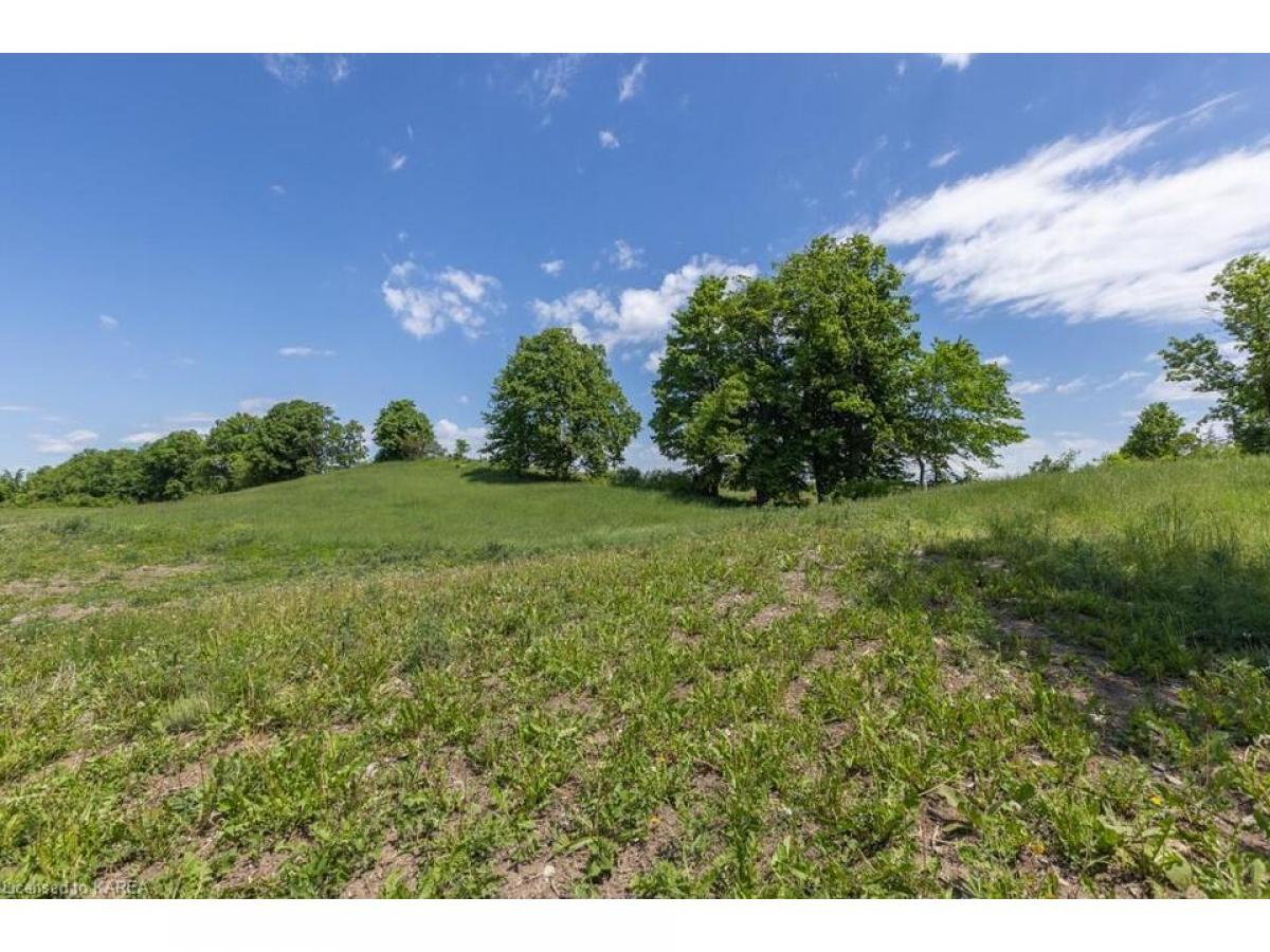 Picture of Residential Land For Sale in Tamworth, Ontario, Canada