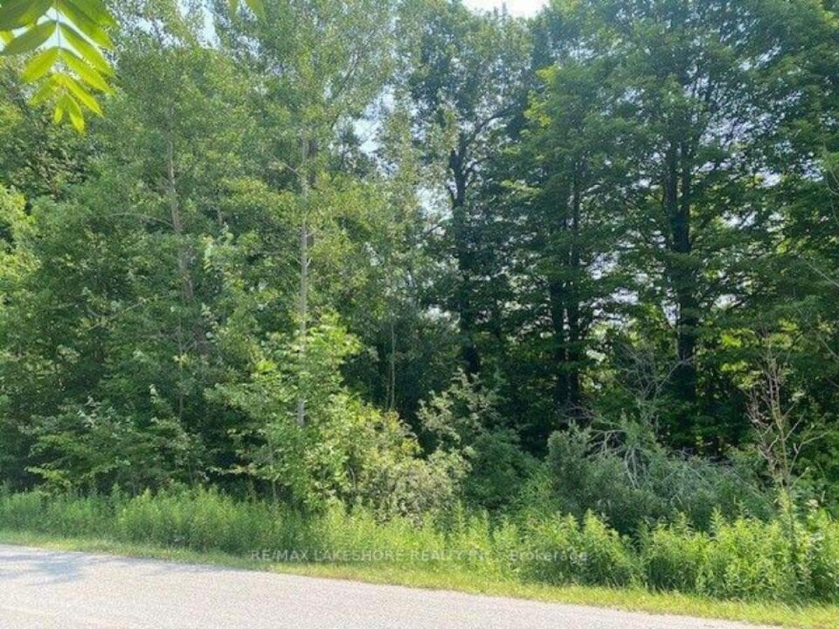 Picture of Residential Land For Sale in Castleton, Ontario, Canada