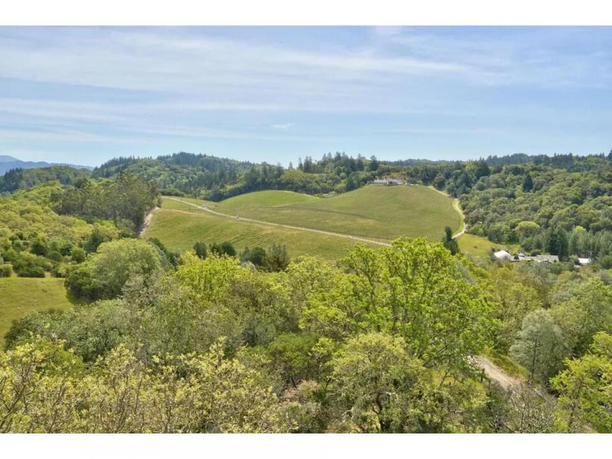 Picture of Home For Sale in Geyserville, California, United States