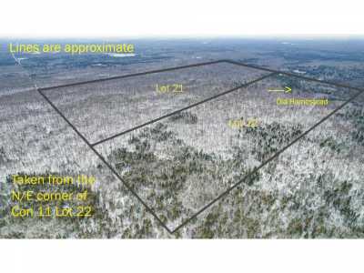 Residential Land For Sale in Douro, Canada
