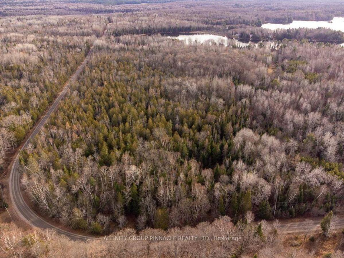Picture of Residential Land For Sale in Highlands East, Ontario, Canada