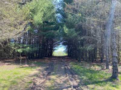 Residential Land For Sale in Warkworth, Canada