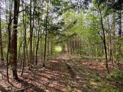 Residential Land For Sale in Roseneath, Canada