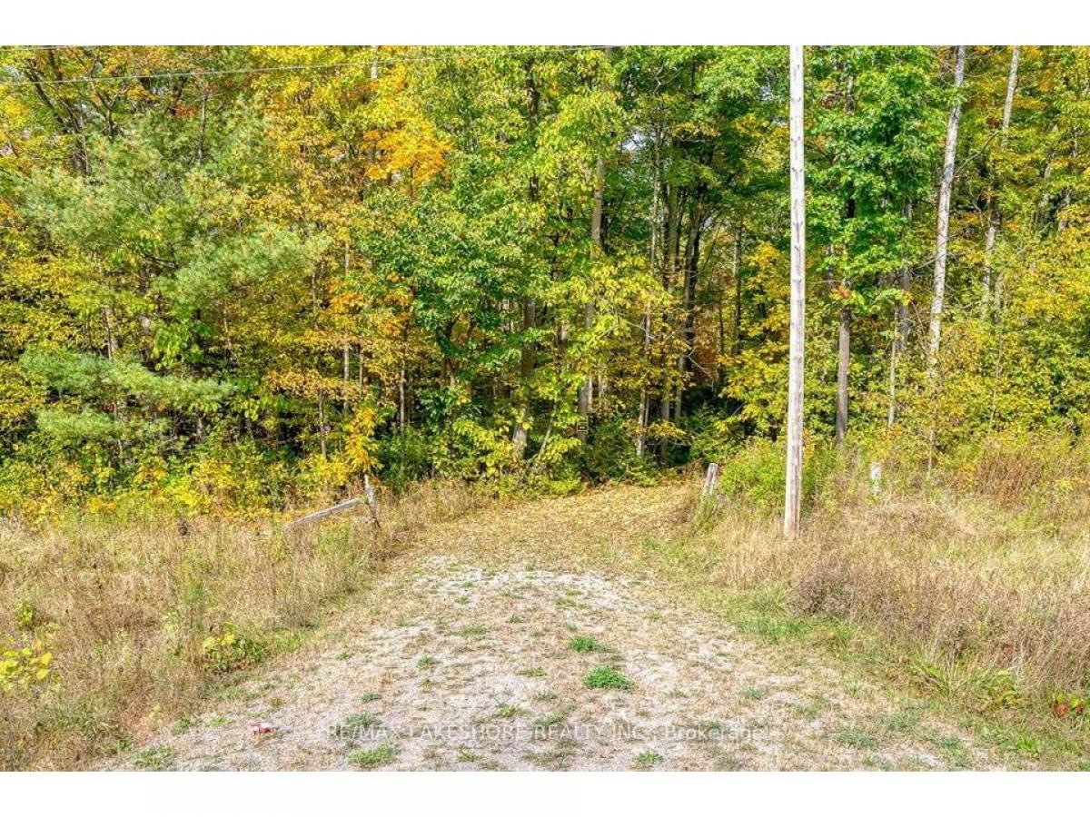 Picture of Residential Land For Sale in Brighton, Ontario, Canada
