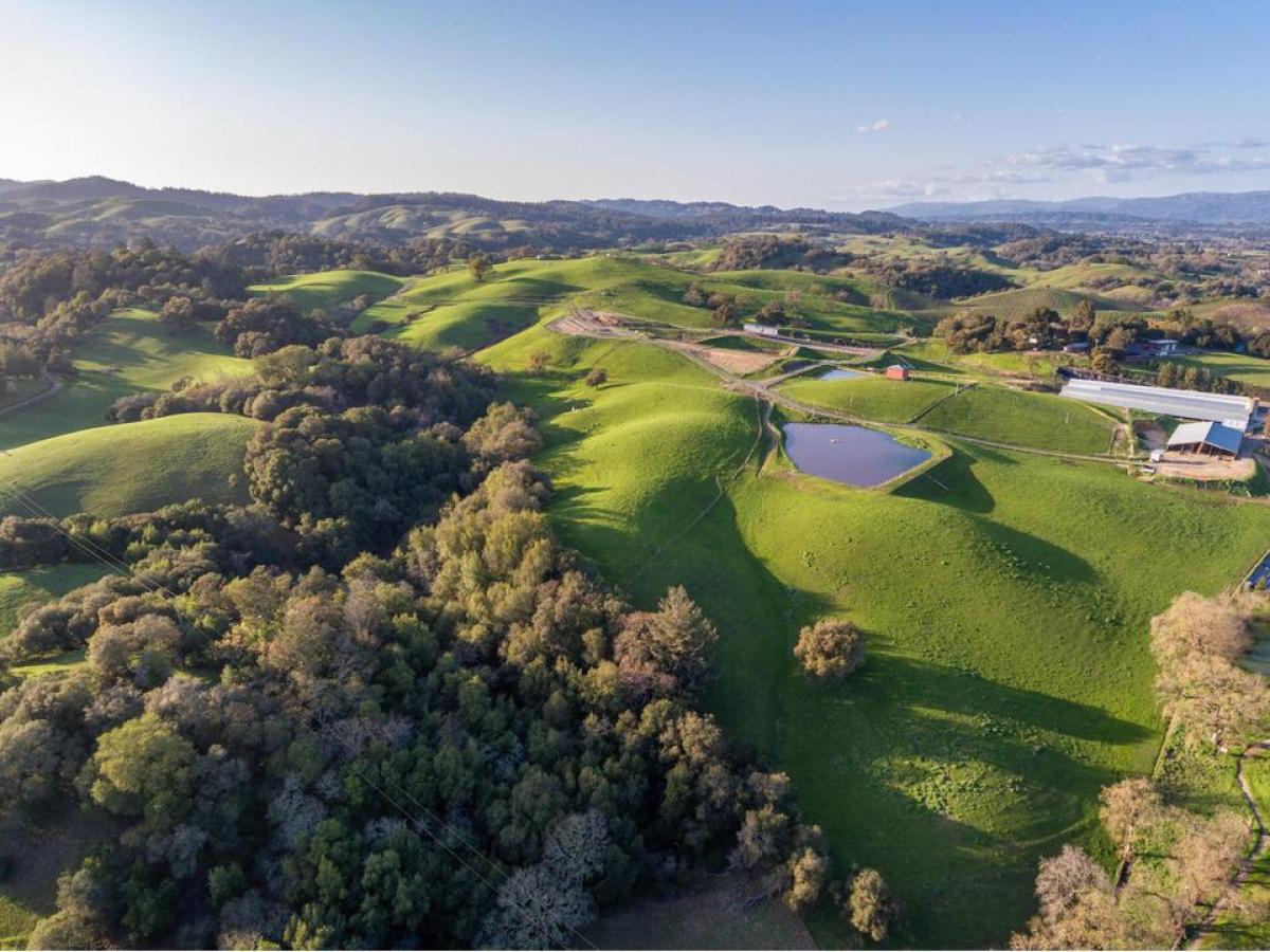 Picture of Residential Land For Sale in Healdsburg, California, United States