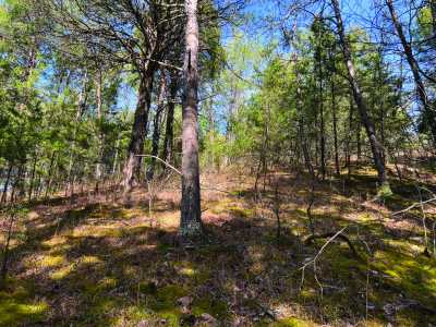 Residential Land For Sale in Sevierville, Tennessee