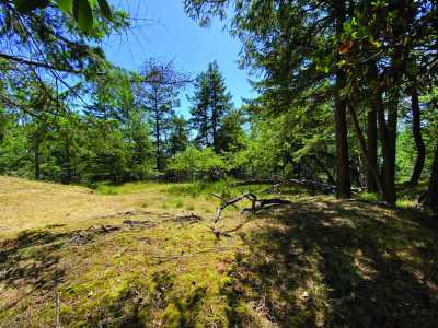 Residential Land For Sale in Stuart Island, Washington