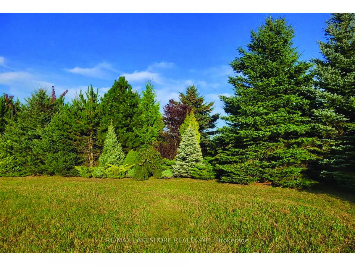 Picture of Residential Land For Sale in Warkworth, Ontario, Canada