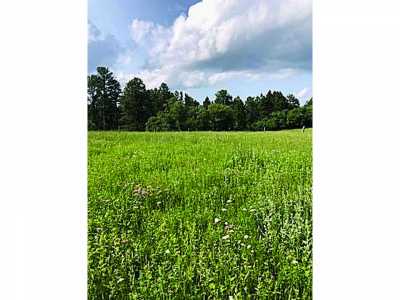 Residential Land For Sale in Sundance, Wyoming