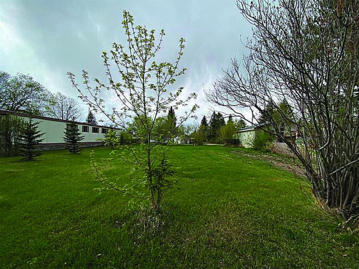 Picture of Residential Land For Sale in Alix, Alberta, Canada