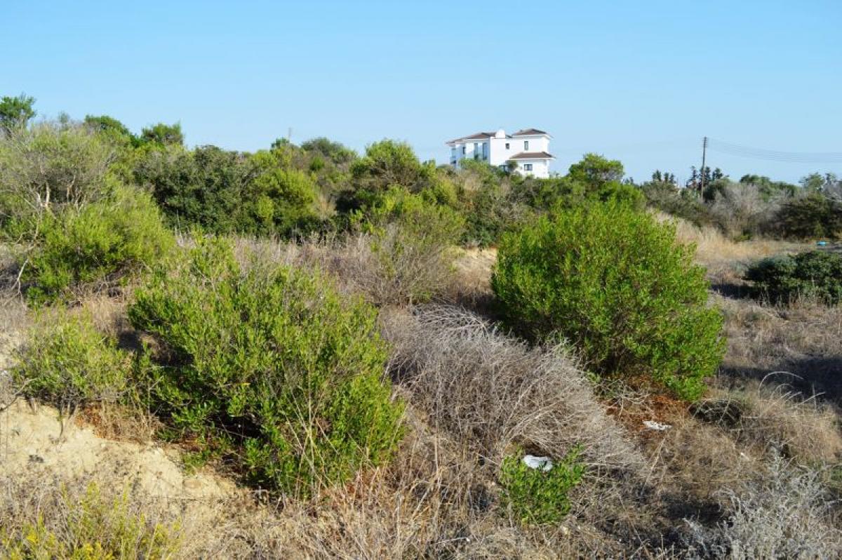 Picture of Residential Land For Sale in Alethriko, Other, Cyprus